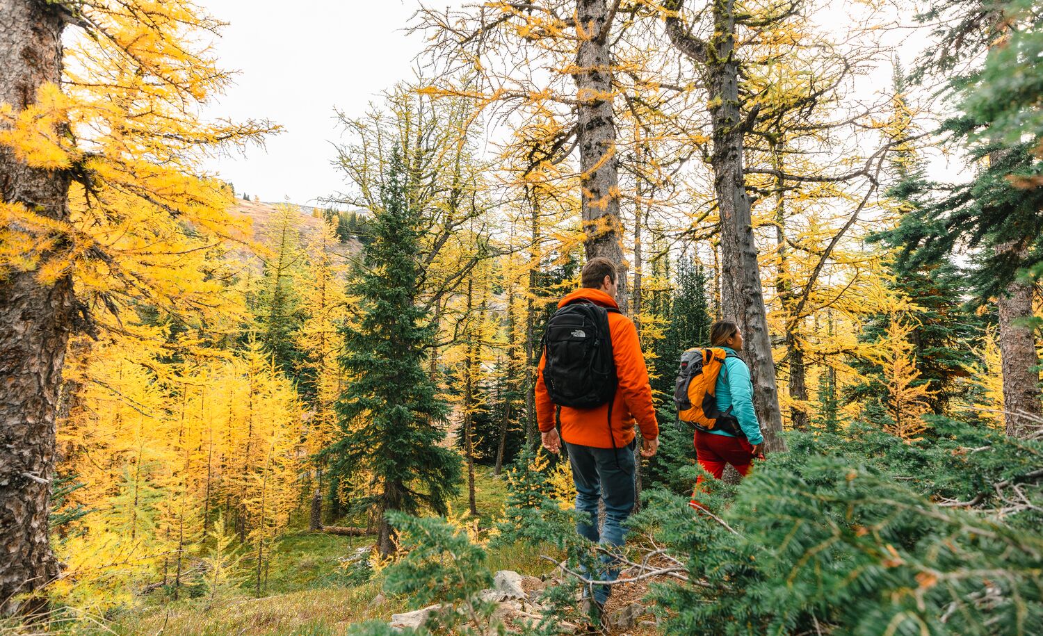 Romantic Fall Getaway in Banff and Lake Louise: A Couples Trip to Relax, Recharge and Connect